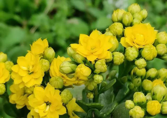 女人断崖式衰老的4大征兆，熬夜才排第二，第一很多人都忽略