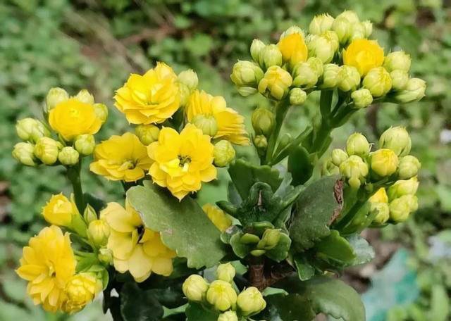 女人断崖式衰老的4大征兆，熬夜才排第二，第一很多人都忽略