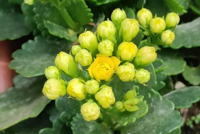 女人断崖式衰老的4大征兆，熬夜才排第二，第一很多人都忽略