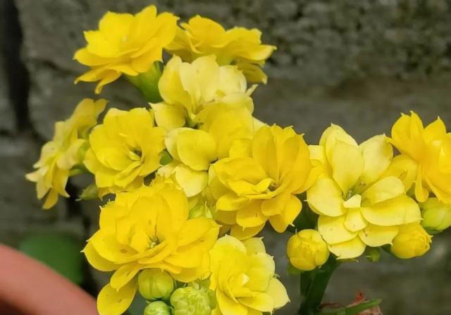 女人断崖式衰老的4大征兆，熬夜才排第二，第一很多人都忽略