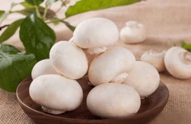 口蘑的“死对头”，医生提醒：二者万不可同吃，吃口蘑的禁忌要懂