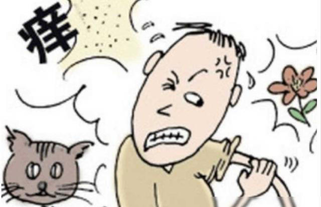 口蘑的“死对头”，医生提醒：二者万不可同吃，吃口蘑的禁忌要懂