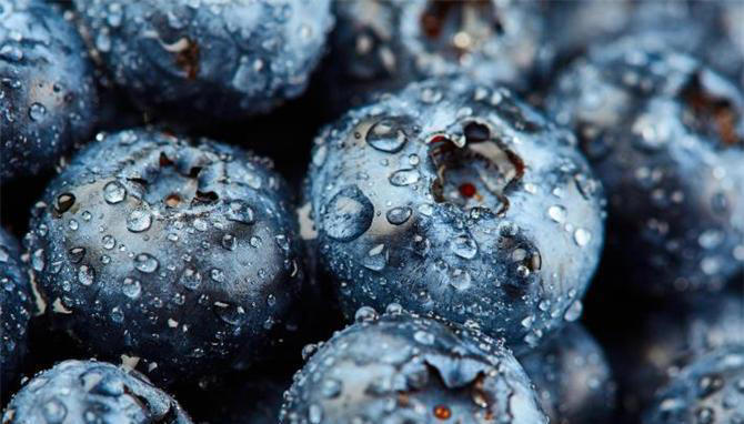 这才是洗蓝莓的正确方法，不用放食盐，脏东西全都洗干净