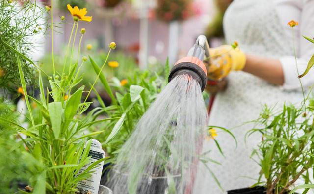 这3种“耐旱花”，别乱浇水，浇水越少开花越艳，长得越旺盛！