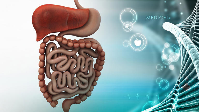 益生菌对人体健康大有好处，除了酸奶，这4种食物中也富含益生菌