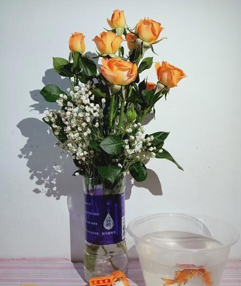 隔夜白开水放24小时还能喝？科学实验数据揭开真相