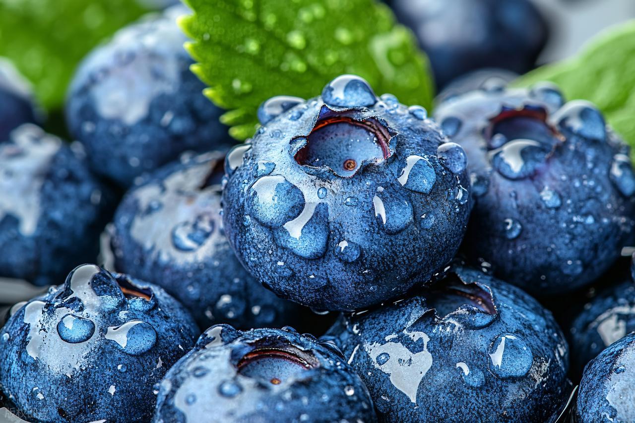 蓝莓大量上市！医生建议：患这5种疾病的人谨慎食用，千万别乱吃