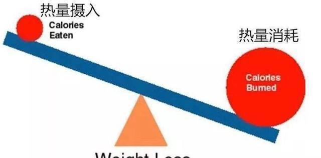 想要减掉大肚腩，练腹和跑步哪个更好？练腹有什么好处，如何训练