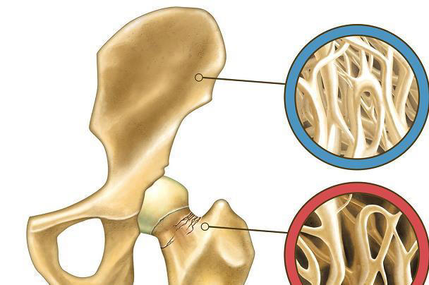 运动健身什么年龄都不晚，50岁开始健身要注意什么，如何开始？