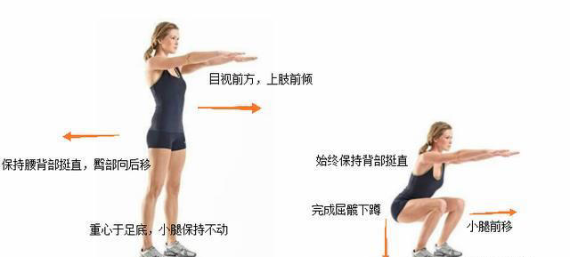 经常练深蹲，大腿小腿会练粗壮吗？如何正确深蹲？