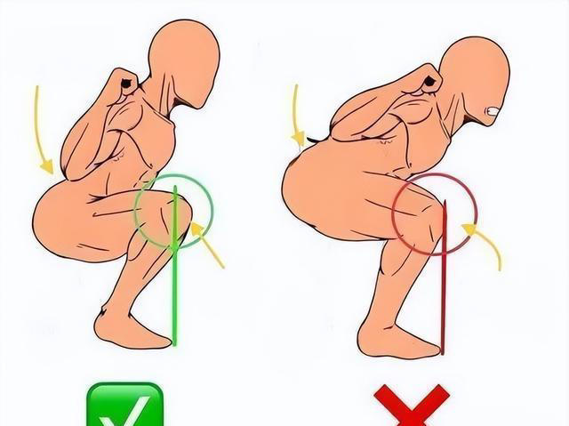 经常练深蹲，大腿小腿会练粗壮吗？如何正确深蹲？