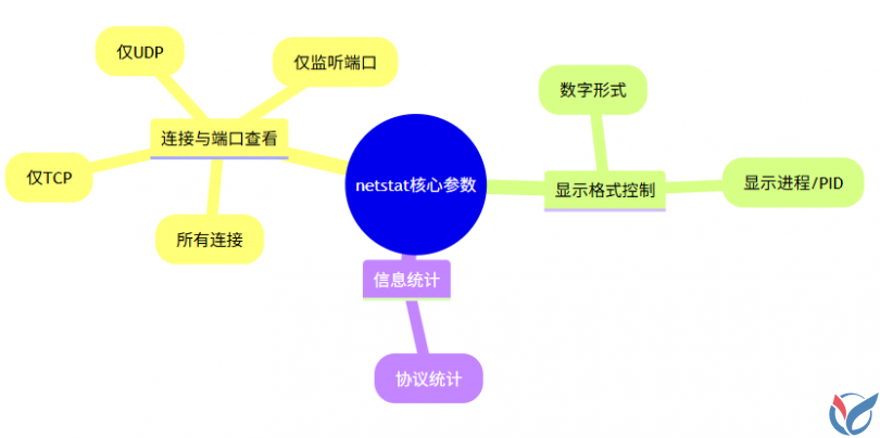 必备：netstat命令实战解析，快速排查网络连接与端口占用