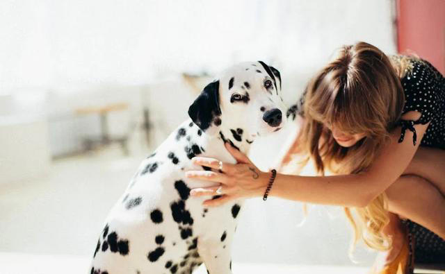 兽医爆料：常摸狗狗这几个地方，它就会对你死心塌地！