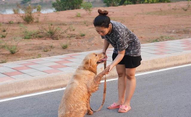 狗狗想念主人时，通常会有6大表现，看了让人心疼