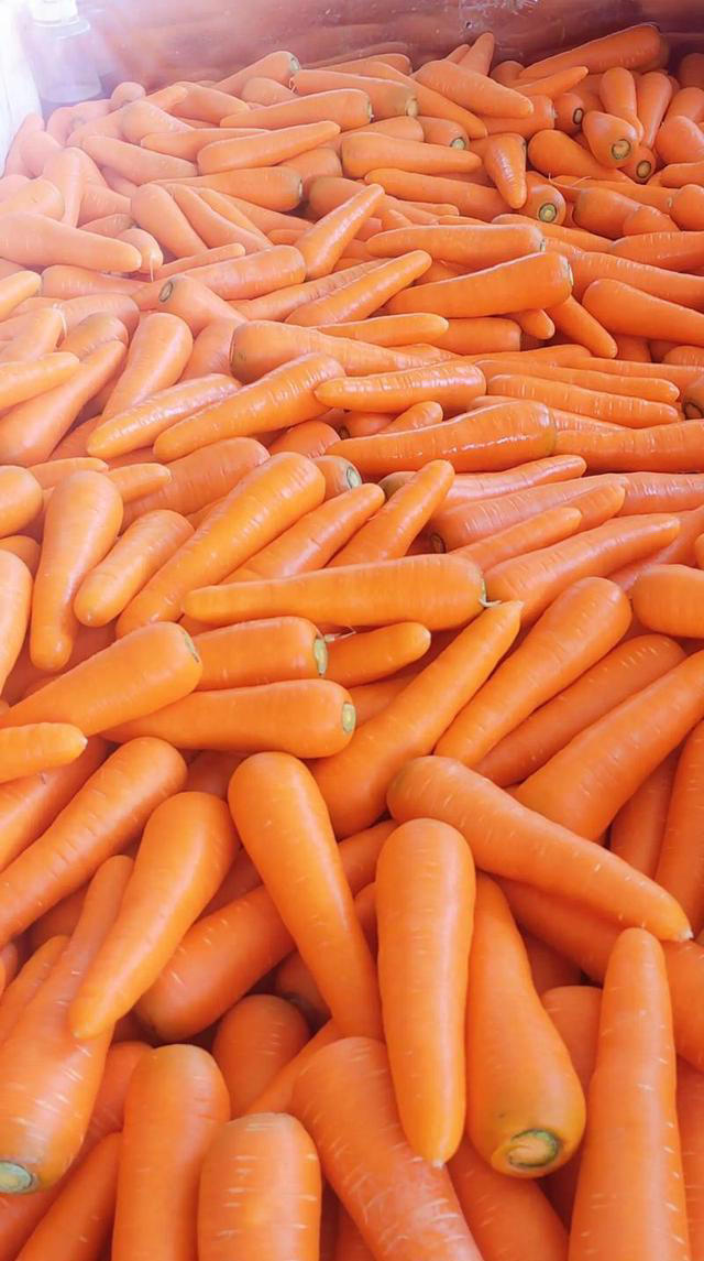 高血脂不能吃土豆？医生提醒：除了土豆，这6种“素食”也要少吃