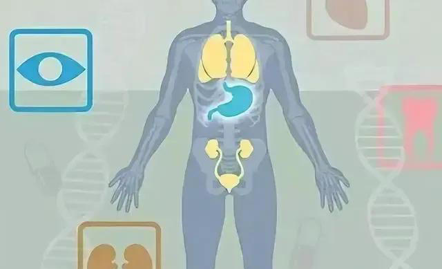 人被拿掉哪些器官不会死？身体的6个“无用”器官，你知道几个