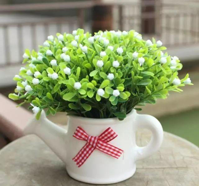 介绍5种好看好养的花，花期长花量大，不费力气，就能欣赏！