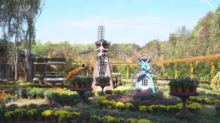 晋城这些乡村！藏着你不曾遇见的美~