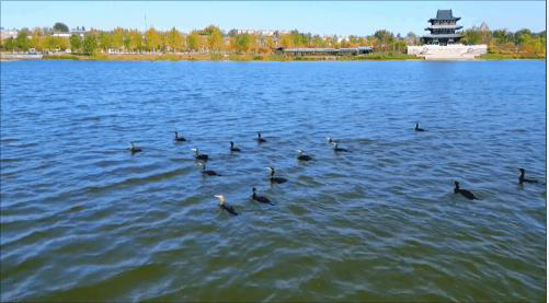 晋城这些乡村！藏着你不曾遇见的美~