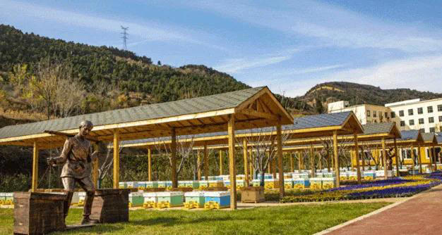 晋城这些乡村！藏着你不曾遇见的美~