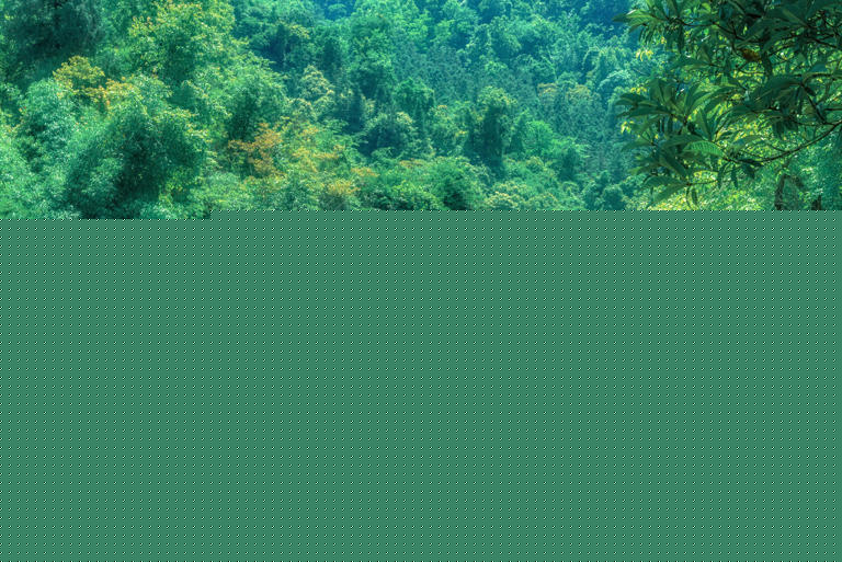 贵州最值得去的10大好玩景点，你去过几个？70岁之前一定要去一次！