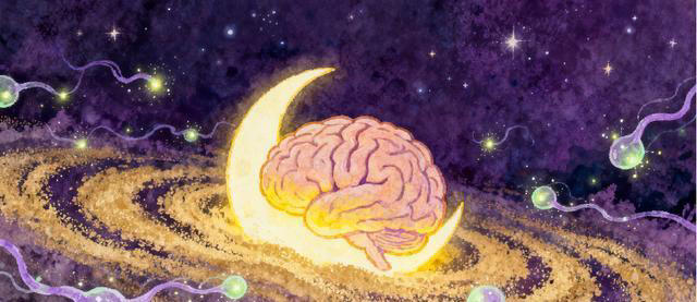 为什么越累越睡不着？其实是大脑在捣鬼