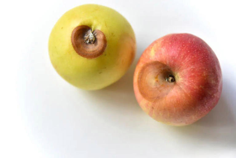 这10个饮食习惯，正在偷走你的寿命