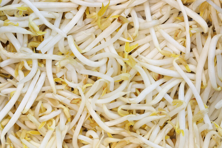 豆芽添加剂超标，是“万毒之王”