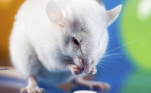 研究发现减肥开关 减肥除了变美还能长寿