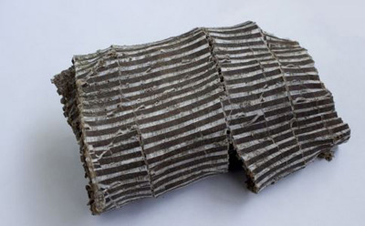 杜仲茶能够健康减肥 怎么喝才有效果