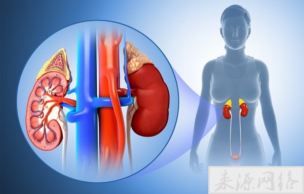 肾脏损伤会提高死亡风险