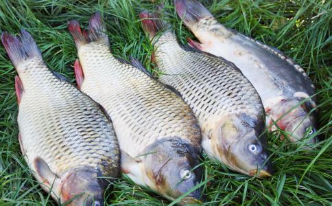 养生多喝汤 秋季养生喝什么汤