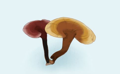 喝灵芝水有什么好处 灵芝泡水喝有什么好处 吃灵芝有什么好处