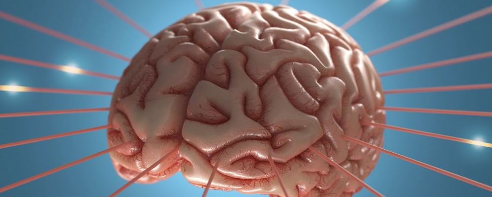 人类睡觉时大脑的清洗过程 吃什么提高睡眠质量