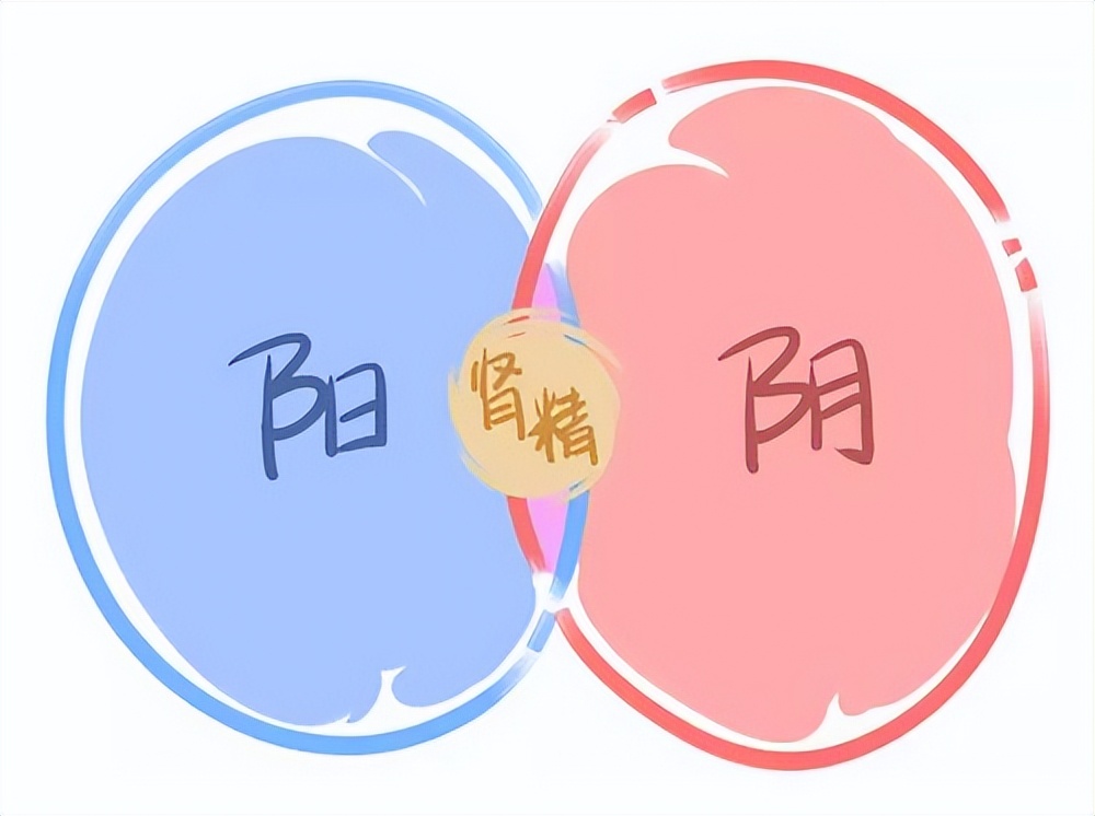 男人“力不从心”别瞎补！分清阴虚阳虚，对症调理才不亏肾