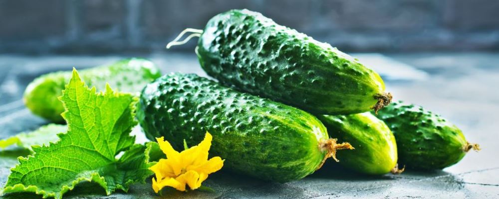 吃饱才能减肥有道理吗 节食减肥好吗 怎么减肥才真正有效