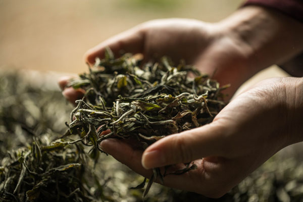 茵陈茶的功效与作用