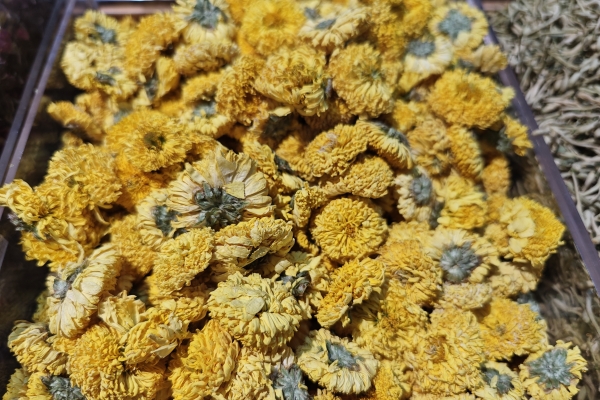 黄菊花的功效与作用