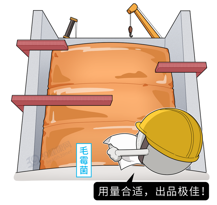 腐乳是营养佳品还是“致癌杀手”？