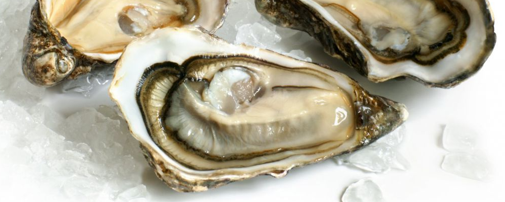 生蚝放冰箱里冷藏能保存多久