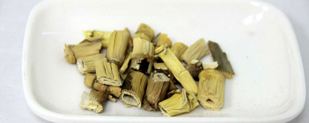 什么是芦根 芦根的功效与作用