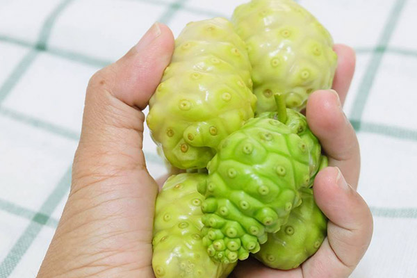 诺丽果的作用和功效是什么