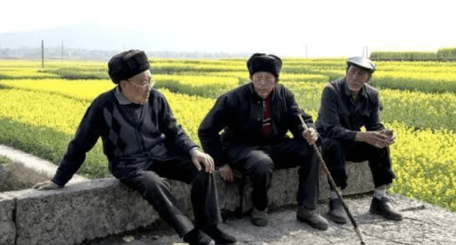 家族共性快乐生活