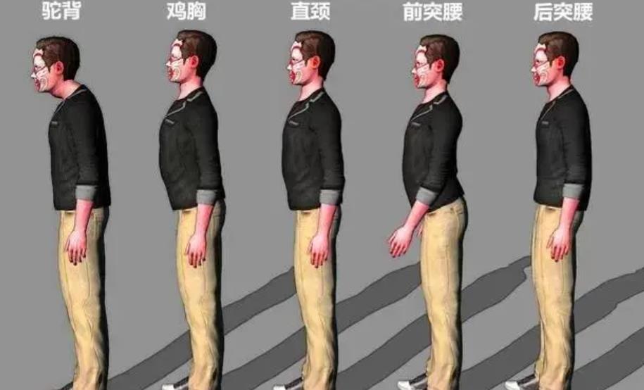 鸡胸和普通人的身材差别在哪里?
