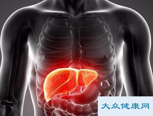 肝在身体哪个位置