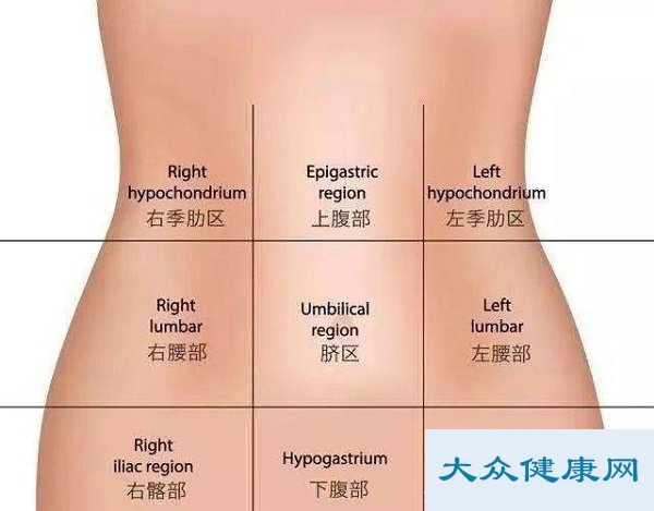 腹股沟在哪个位置图片啊