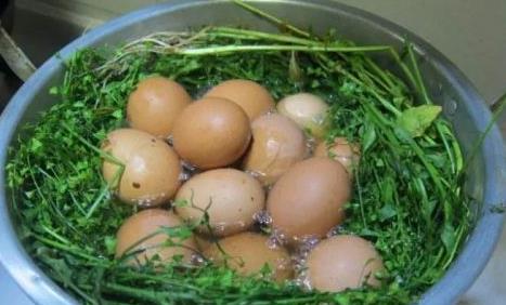 荠菜煮鸡蛋的功效与作用