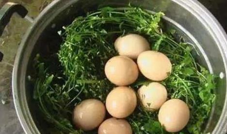 荠菜煮鸡蛋的功效与作用