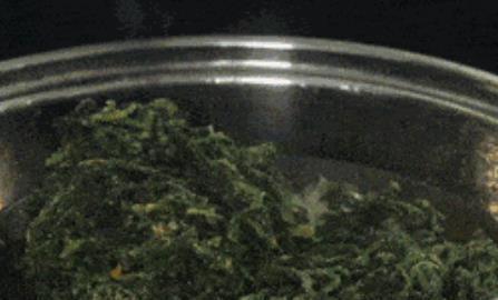 蒲公英怎么晒干做成茶