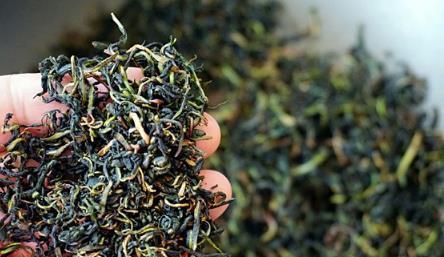 蒲公英怎么晒干做成茶